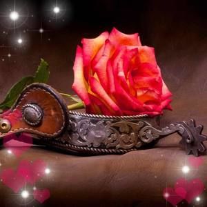 Meet your Posher, Nadia